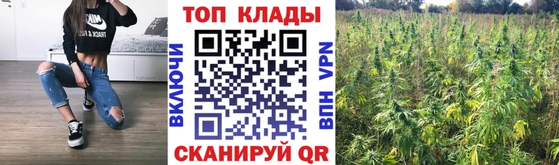 Купить наркотики Чехов Гашиш  MDMA  A PVP  МЕФ  Марихуана 