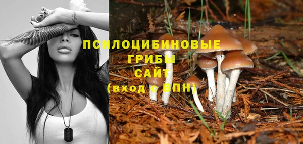 jwh Нея