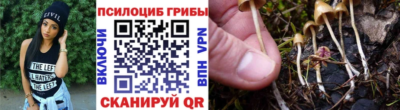 Галлюциногенные грибы MAGIC MUSHROOMS  Чехов 